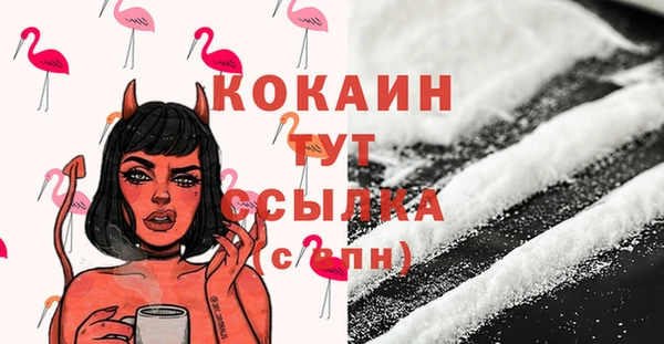 гашик Балахна