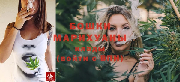 гашик Балахна